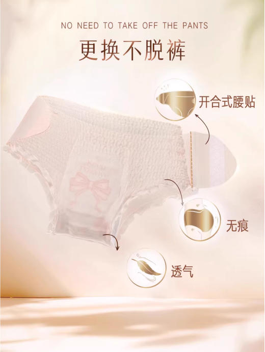 【清仓好价】苏菲早安日安心裤2条装*5包(L码适合臀围85-105cm) 商品图2