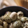 即食生态鹌鹑蛋 软罐头（带壳）咸香/五香 生态养殖加工 配料有机（珠海顺丰陆运发货） 商品缩略图2