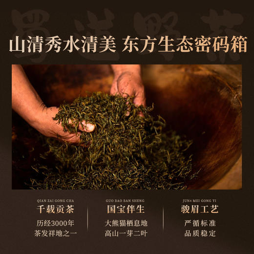 正山堂广元红 熊猫红茶礼盒装 四川特级正宗红茶茶叶送礼长辈120g 商品图3