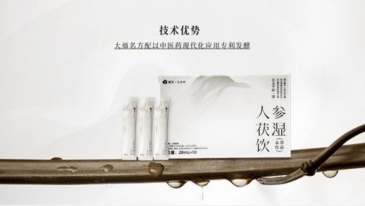 人参茯湿饮 商品图0