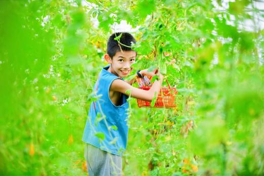 阿林农场【拥抱自然】儿童二日主题夏令营 商品图4