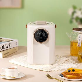 大宇（DAEWOO）家用热水壶多段保温3L容量电热开水瓶DYSP-3018