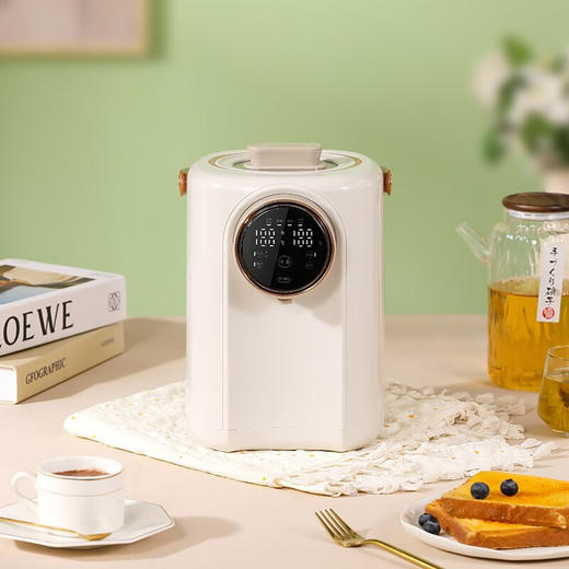 大宇（DAEWOO）家用热水壶多段保温3L容量电热开水瓶DYSP-3018 商品图0