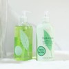 雅顿绿茶 身体乳/沐浴露 淡香补水保湿清爽丝滑滋润500ml 商品缩略图1