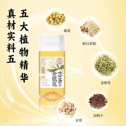 轻上小轻甘金银花凉茶药食同源决明子甘草花草茶即饮植物饮料 金银花凉茶245ml*10瓶 商品图1