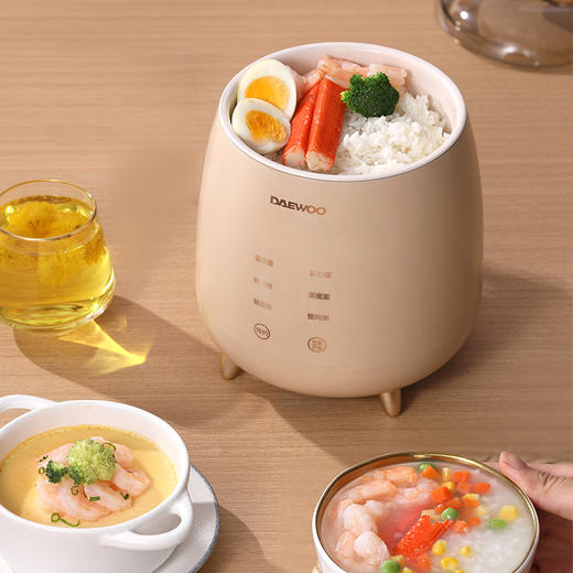 大宇(DAEWOO)家用小型多功能早餐机隔水炖者蛋器 DYZC-B08 商品图3