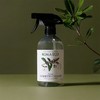 蔻莱伊可澳大利亚薄荷精油不锈钢制品清洁剂 500ml/瓶 商品缩略图0
