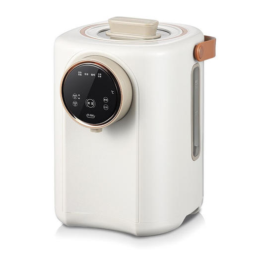 大宇（DAEWOO）家用热水壶多段保温3L容量电热开水瓶DYSP-3018 商品图5