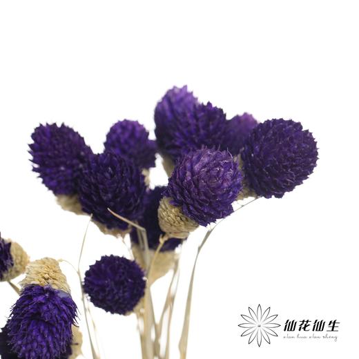 永生花材 | 单头千日红深紫 商品图0