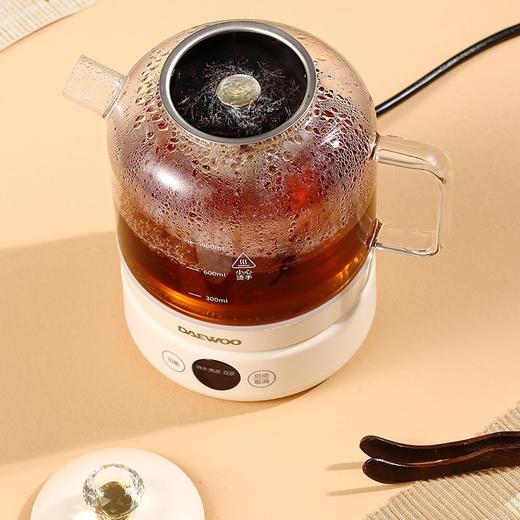大宇（DAEWOO）煮茶壶家用多功能全自动炖煮烧水壶办公室小型养生壶DY-ZC03 DY-ZC03煮茶器 商品图4