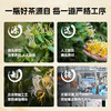 轻上小轻甘金银花凉茶药食同源决明子甘草花草茶即饮植物饮料 金银花凉茶245ml*10瓶 商品缩略图4