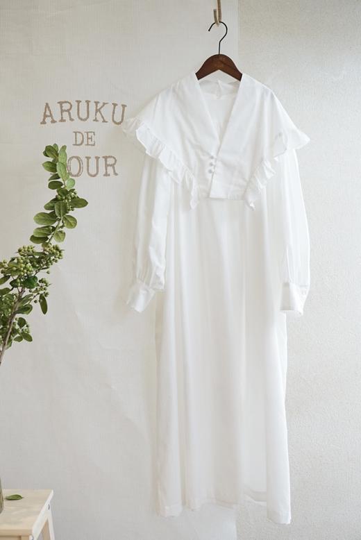 The last flower of the afternoon 商品图3