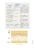 《清醒护肤：跟皮肤科医生一起养出健康光泽肌》 商品缩略图13