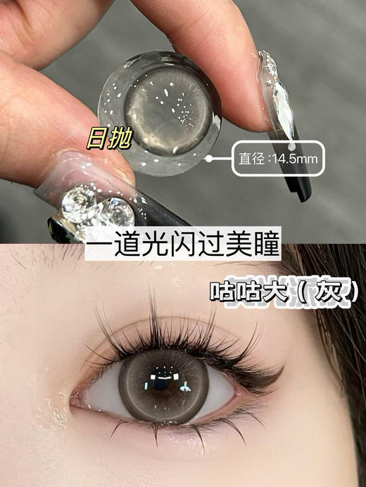 Holy nara 日抛 咕咕大灰 / 棕 / 紫（14.5最高800） 商品图0