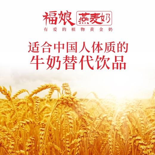 原味燕麦奶250ml*10支 商品图4