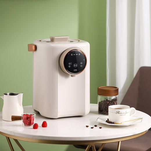 大宇（DAEWOO）家用热水壶多段保温3L容量电热开水瓶DYSP-3018 商品图1