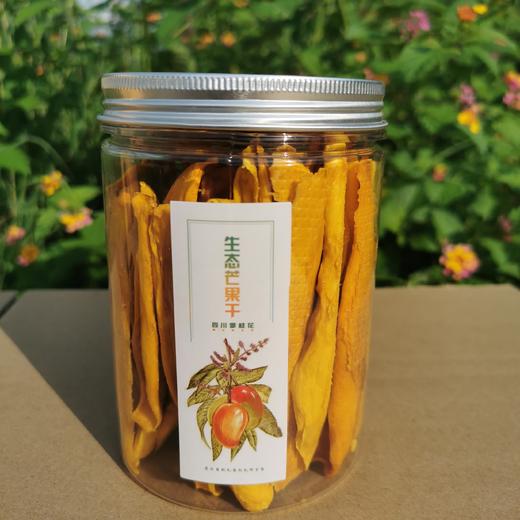 合作产品/生态芒果干 商品图0