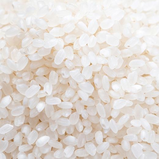 米老板 崇明大米（真空包装）5kg 商品图3