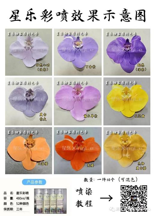 星乐鲜花喷漆 商品图4