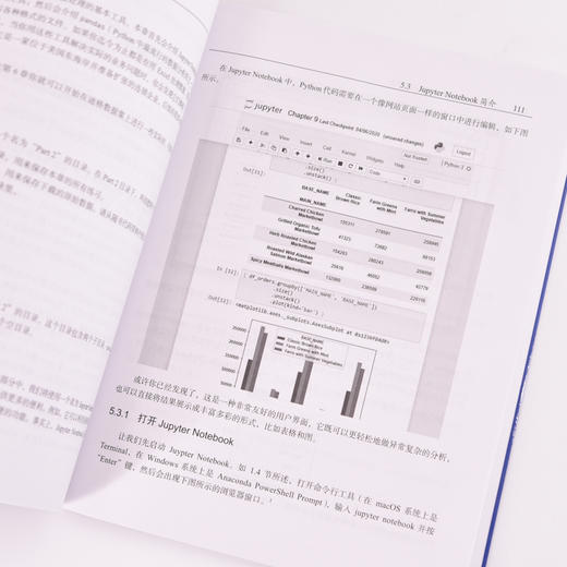 商务人士也要学Python Python编程从入门到实践商业分析数据分析MBA计算机编程语言书籍 商品图2