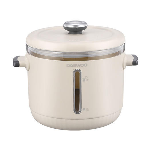 大宇（DAEWOO）煮茶壶1.8L容量家用多功能玻璃花茶烧水壶办公室养生壶 DYYS-12Y18养生壶+电煮锅 1.8L 商品图8