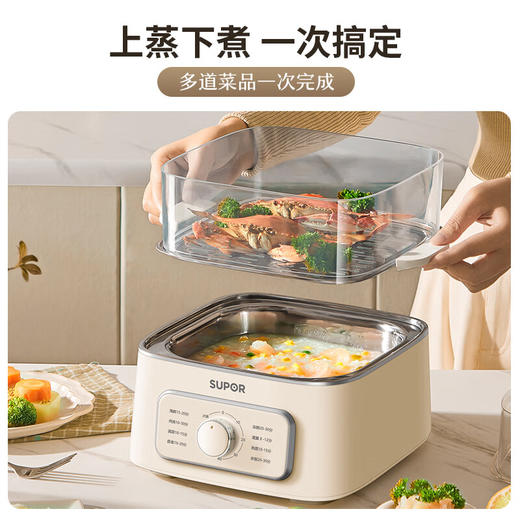 苏泊尔电蒸锅ZN23FK30 商品图7