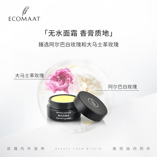 【渠道- 希尔瑞美妆集合店】ECOMAAT伊可茉马克西马白玫瑰精华面霜30ml/盒 商品图2