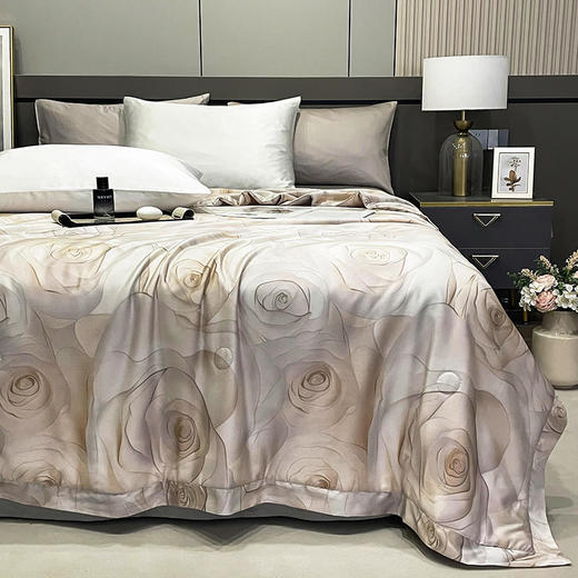 【清仓179元起/床】【门店同款】60支进口兰精莱赛尔天丝单夏被、天丝棉夏被、下单还赠送一个手拎袋 商品图6