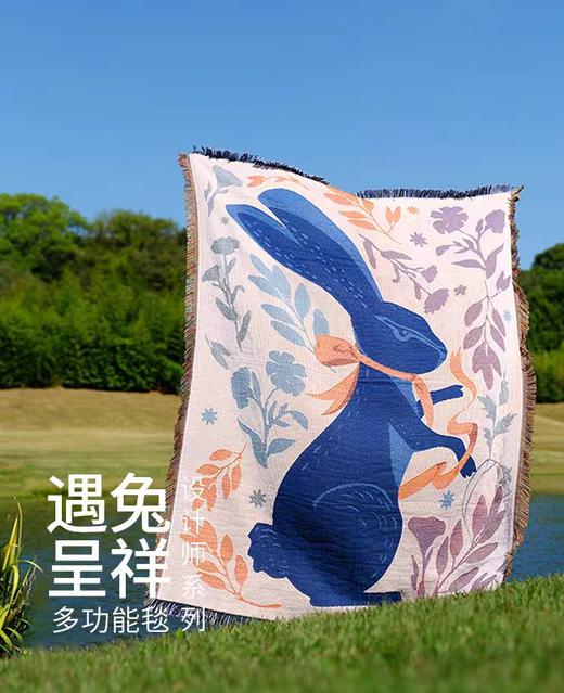 红鲤乐团设计师原创氛围毯，艺术装饰画/盖毯/披肩毯/ 地毯/ 露营野餐毯 /爬爬垫/ 桌布艺术 多功能毯 商品图5
