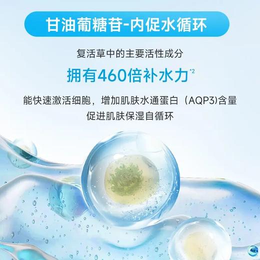 【依克多因面膜】绽妍立体补水多效莹润面膜10片/盒 强补水保湿舒缓 商品图2