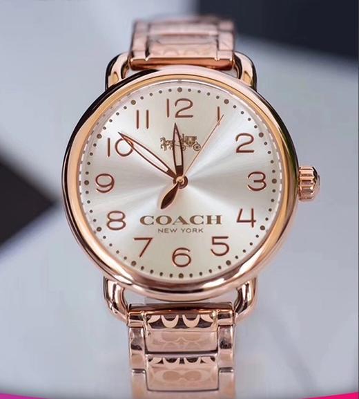 【中检鉴定】【专柜版】COACH蔻驰 Coach蔻驰 女士时尚个性手表 商品图5