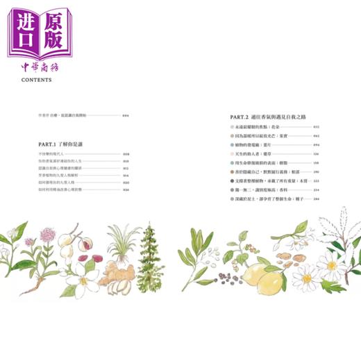 【中商原版】能量芳疗 芳香植物九型人格 x 45支精油 带你突破人生困境 找回内在力量 陈育歆 境好出版 港台原版 商品图1