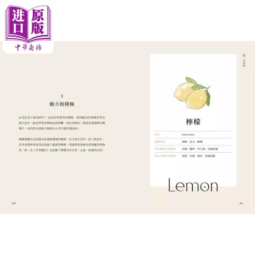 【中商原版】能量芳疗 芳香植物九型人格 x 45支精油 带你突破人生困境 找回内在力量 陈育歆 境好出版 港台原版 商品图4