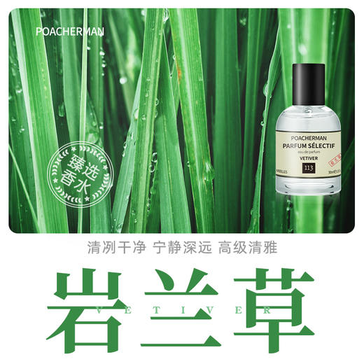 柏世曼岩兰草香水 自然青草香调香根草持久淡香男女士中性淡香水 商品图0