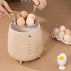 大宇(DAEWOO)家用小型多功能早餐机隔水炖者蛋器 DYZC-B08 商品缩略图5