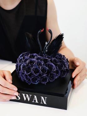 黑天鹅之恋（永生花）