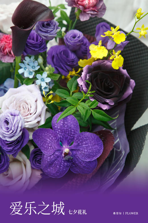 爱乐之城 商品图2