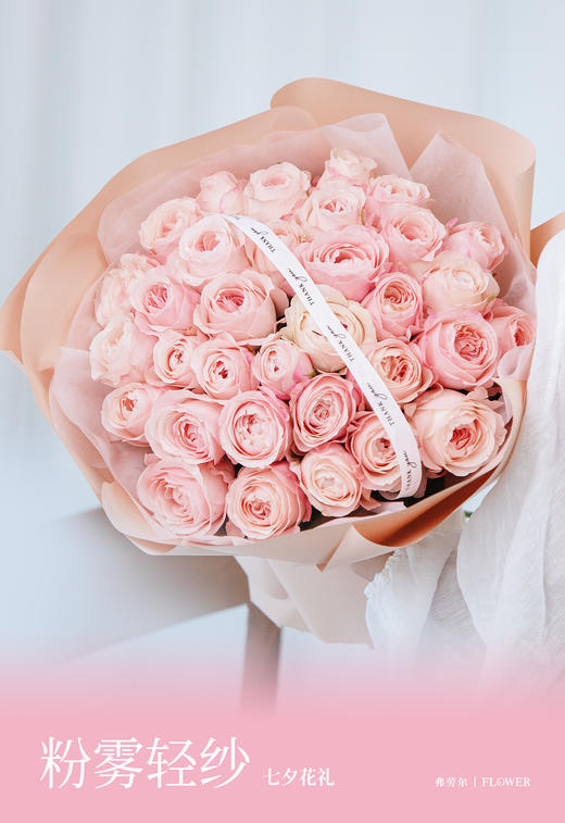 粉雾轻纱（33支） 商品图1