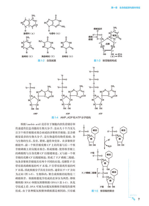 医学生物学第10版 人卫最新九9升级蓝色生死恋妇科学妇产科西医课本人民卫生出版社五年制大学临床医学专业教材全套9787117362382 商品图2