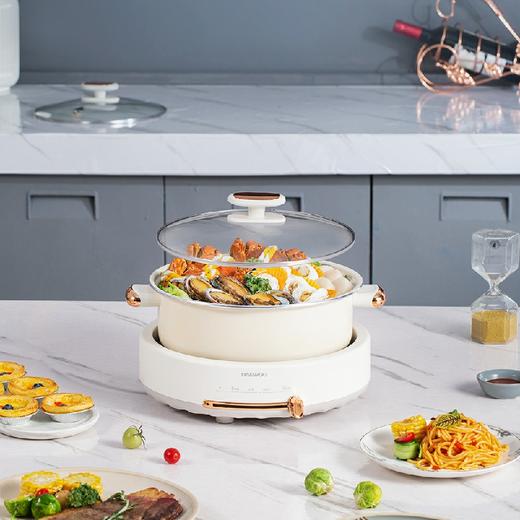 大宇(DAEWOO)多功能家用电煮锅一锅多用分体式电火锅DYHG-505 商品图0