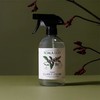 蔻莱伊可澳大利亚薄荷精油玻璃清洗剂 500ml/瓶 商品缩略图0