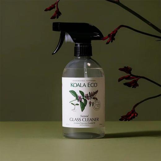 蔻莱伊可澳大利亚薄荷精油玻璃清洗剂 500ml/瓶 商品图0