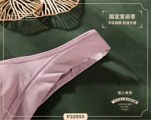 耐尔 莫代尔超薄前开扣方便文胸（两件装） 商品图4