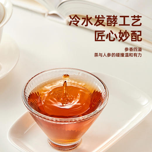寻茶令人参六堡茶袋泡茶广西梧州特产一级茶包3.5g*10袋 商品图2