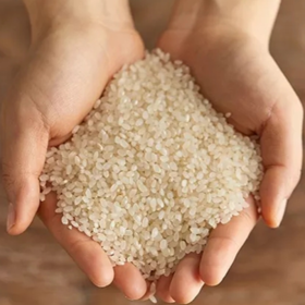 锁鲜有机胚芽米