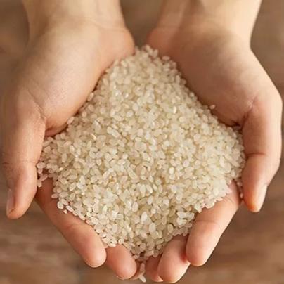 锁鲜有机胚芽米 商品图0