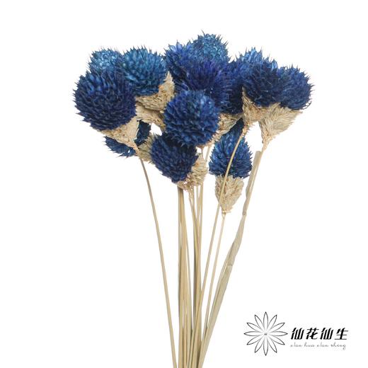 永生花材 | 单头千日红宝蓝 商品图1