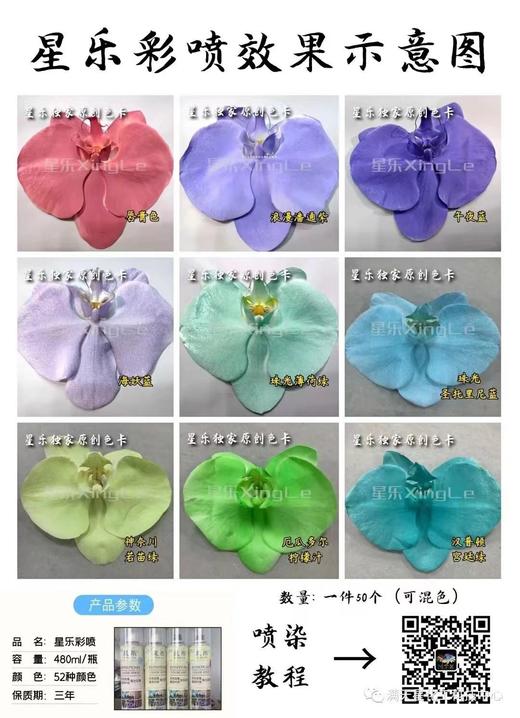 星乐鲜花喷漆 商品图2