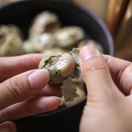 即食生态鹌鹑蛋 软罐头（带壳）咸香/五香 生态养殖加工 配料有机（珠海顺丰陆运发货） 商品图3