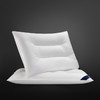 希尔顿尊享三防枕2.0丨睡眠管家联名防水防油防污 抗jun不易变黄 安心睡眠一整夜 商品缩略图3